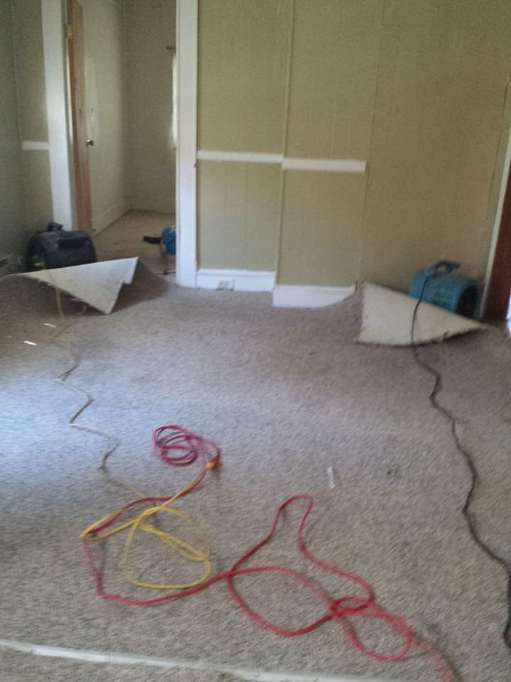 Carpet in a Room