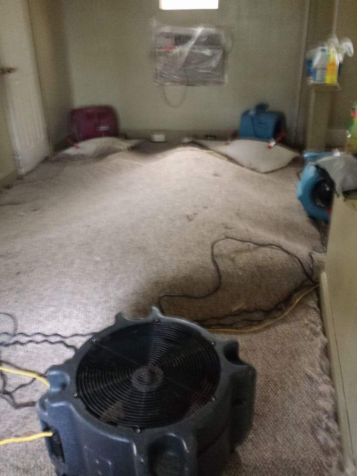 Rug Cleaning in Progress