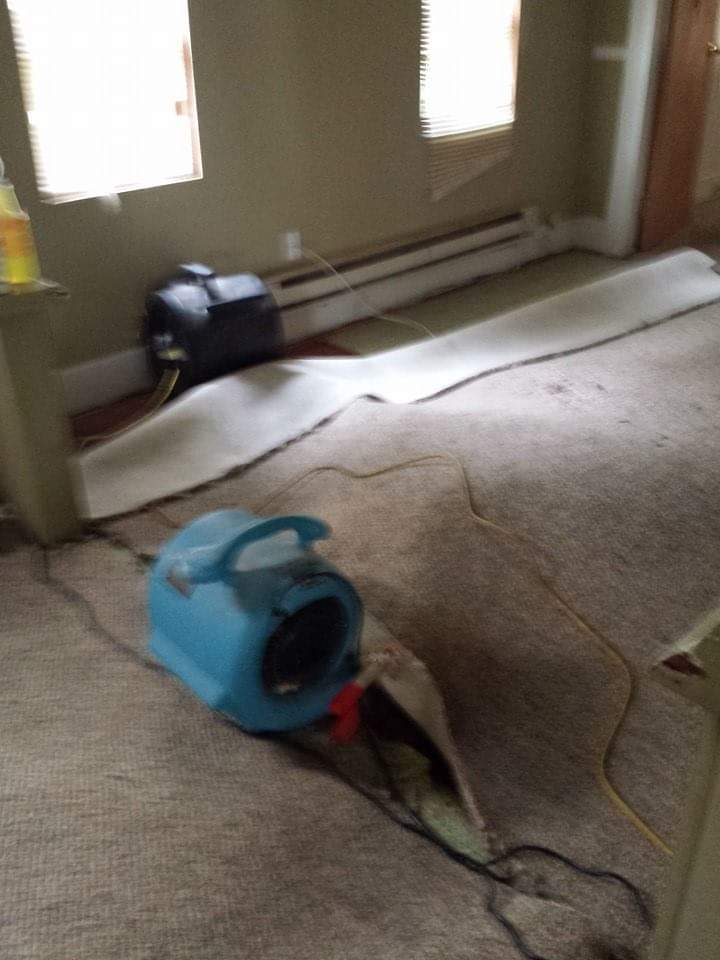 Carpet Cleaning Machine